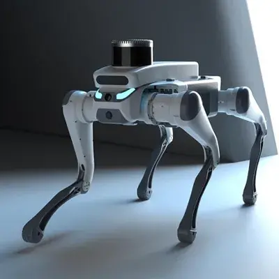 Deep Robotics Venture