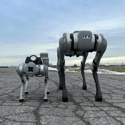 Robot Dogs Service 