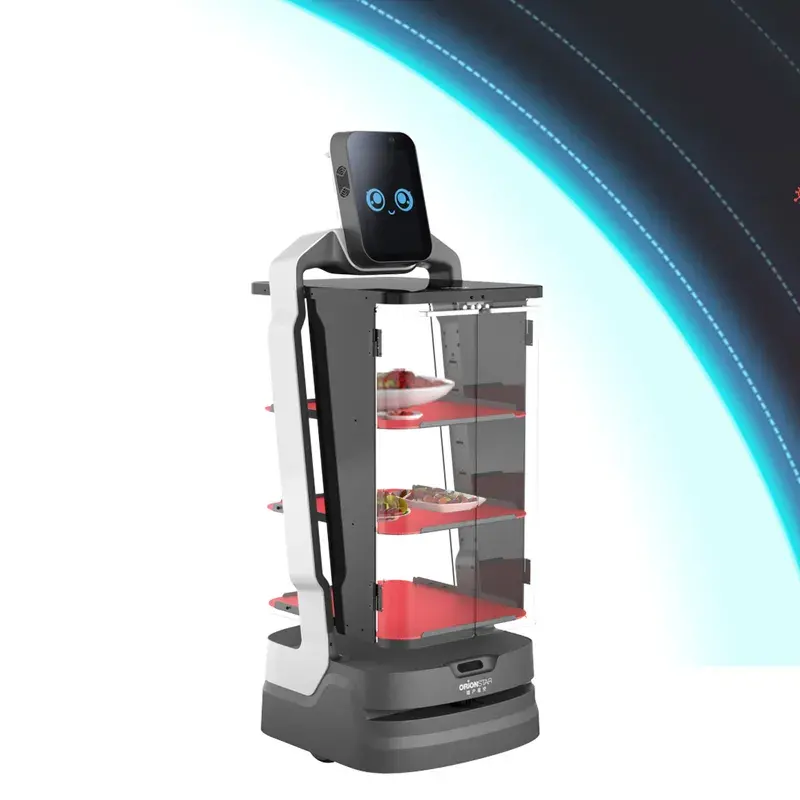 Service Robot Assisting in a Workplace Environment