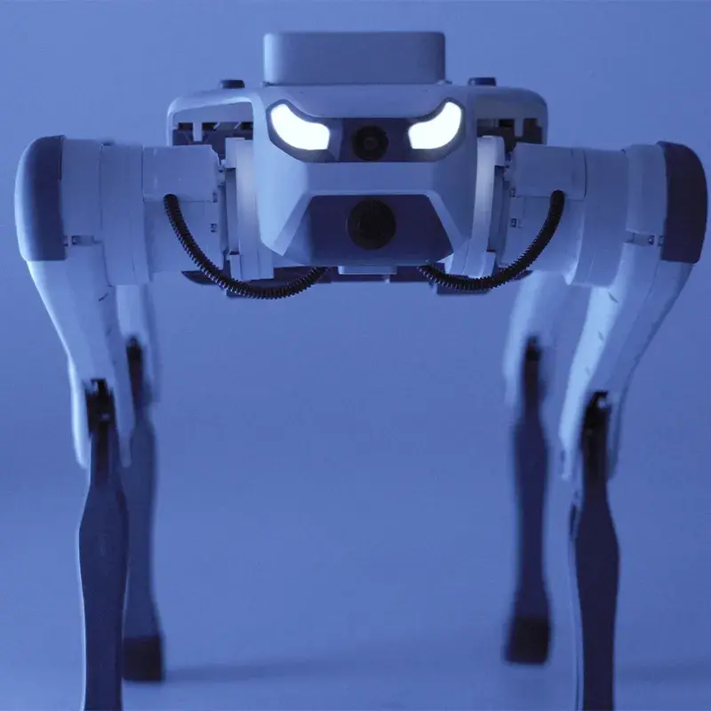 Deep Robotics Robot Dog on Terrain