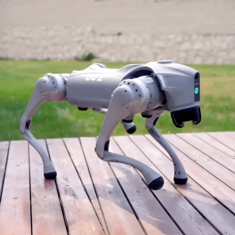 Unitree Robotics Dog Exploring Indoors